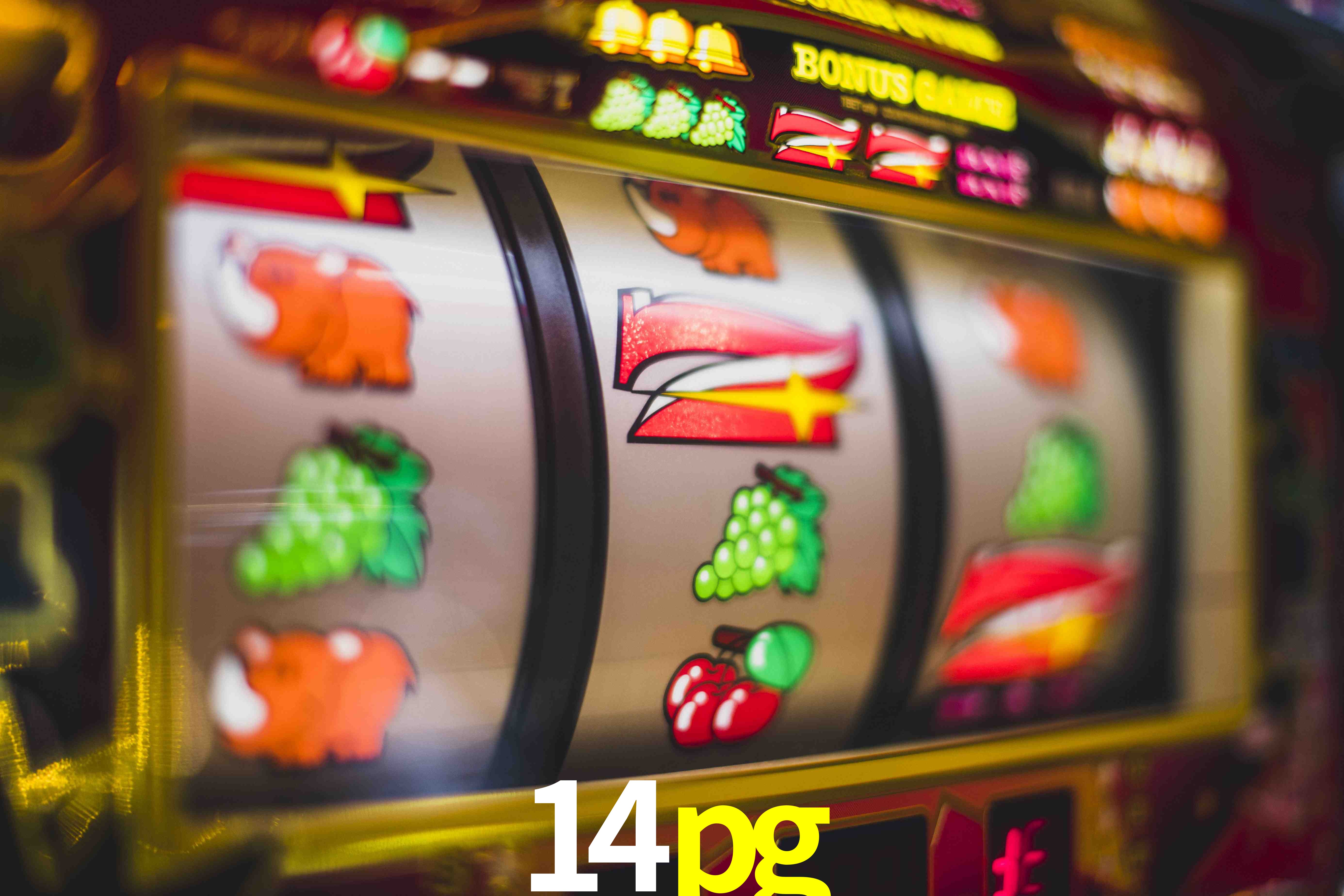 Live Casino 14pg